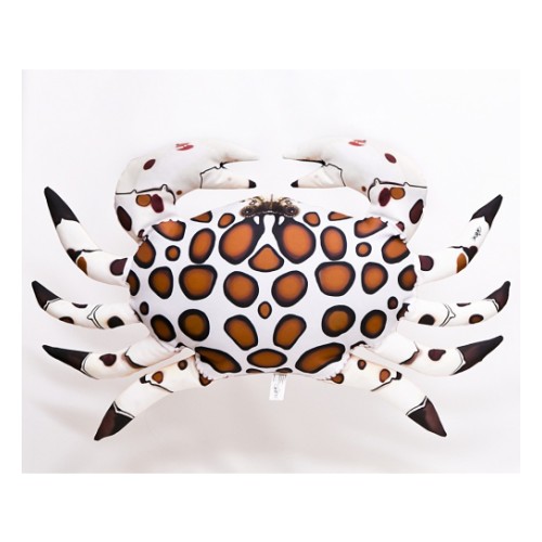 Калийский краб, белый, 60 cm