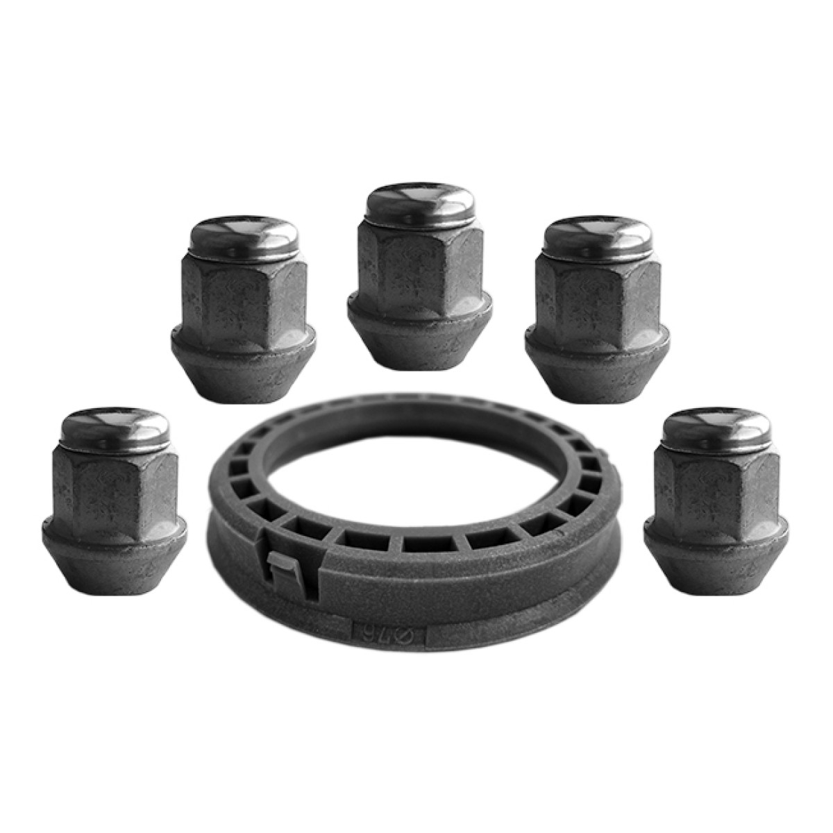 Ronal Kit (Sobitusrõngas 76.0-66.1 1Tk.) + (M12X1.25/30V19. 5Tk.)