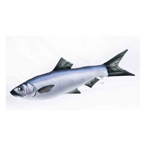 Подушка-рыба сельдь 60cm