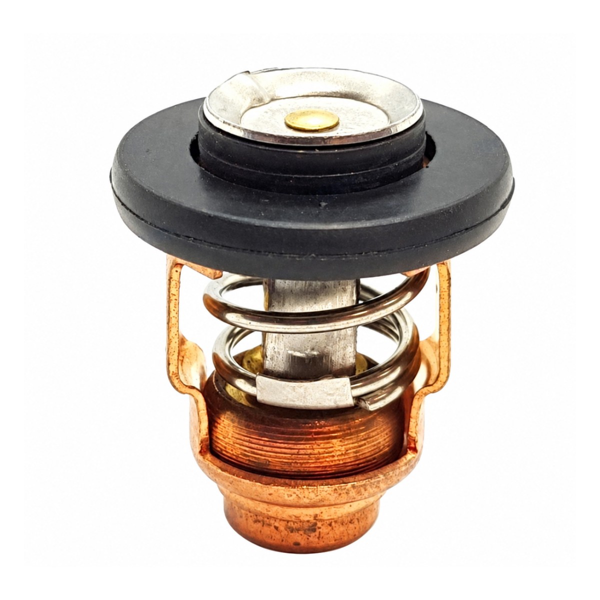 Termostaat yamaha f15/f20, 50 - 60 °c